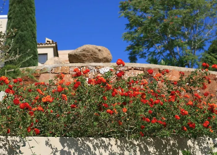 La D'aphrodite Avec Jacuzzi Vue Апартаменти